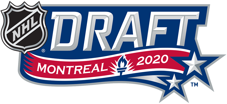 NHL Draft 2020 Unused Logo v2 DIY iron on transfer (heat transfer)